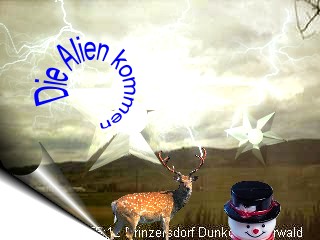 repariertes bild001